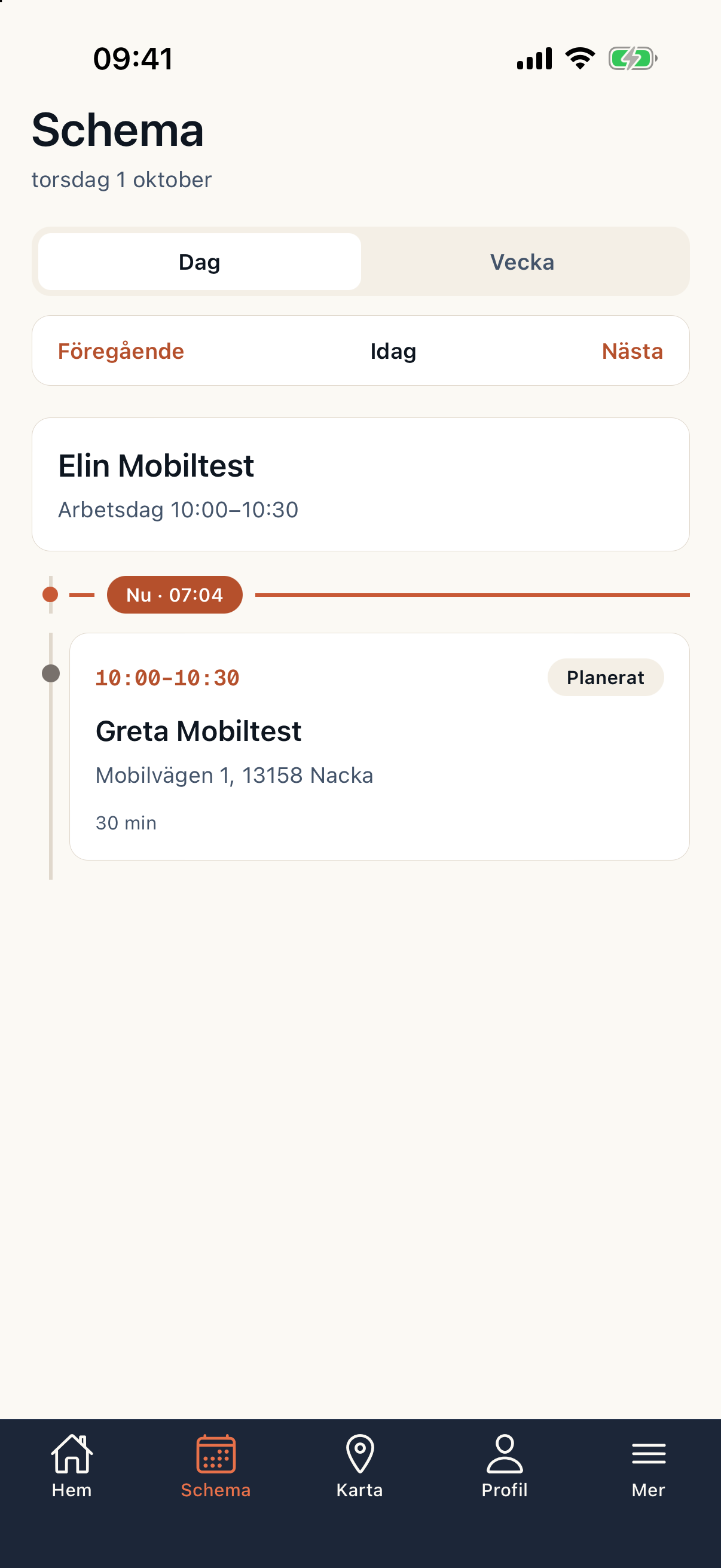 Medarbetarappens besöksplanering med syntetiska testdata